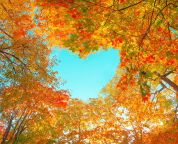 EQUIN�CIO DE OUTONO